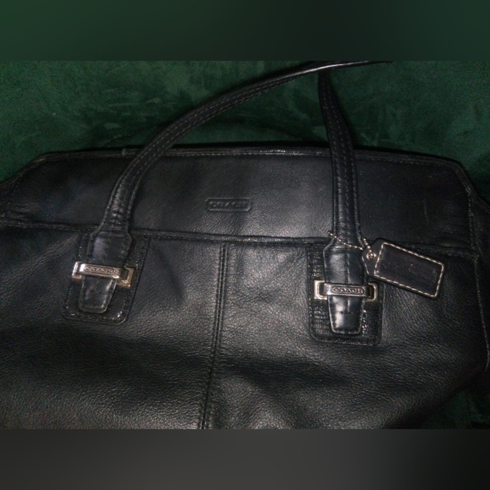 Coach Taylor Leather North South Tote with Sequin-Style Accents in Black #F25941 - Picture 14 of 16